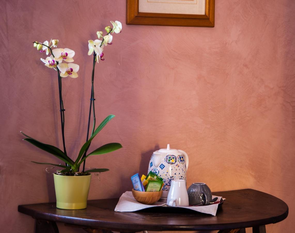Casapatrizia Art B&B Sant'Arcangelo di Romagna Eksteriør billede
